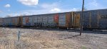 TTGX 696604
